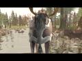 Alpha And Omega Moose Fart Edit 2