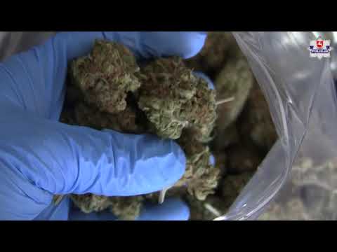 Wiózł samochodem 2 kilogramy narkotyków