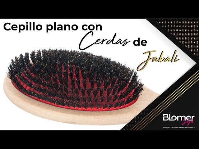 Vídeo relacionado con FRAMAR Cepillo Cerdas Jabali Pelo Fino - Cepillo Cerdas Naturales, Cepillo de Pelo Antirotura y Antitirones para Cabello Fino, Ideal Para Añadir Brillo o Volumen, Boar Hair Brush - Chocolate