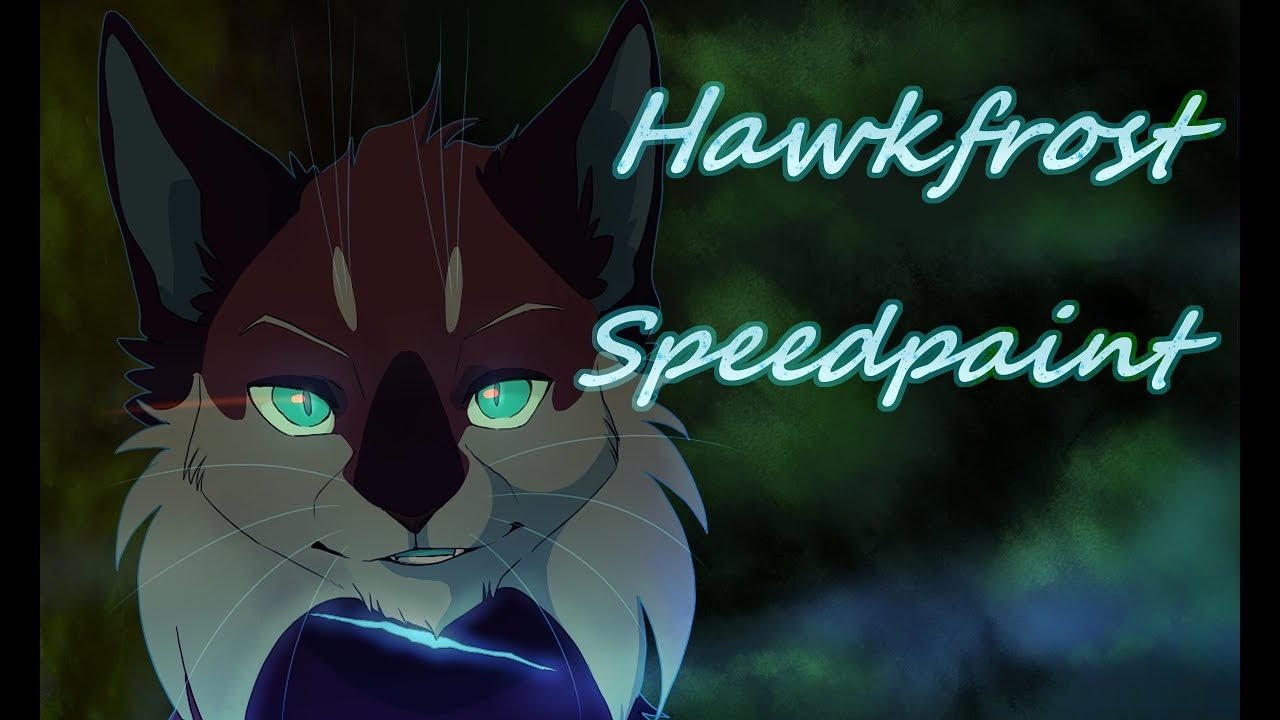 Warriors: Hawkfrost Speedpaint