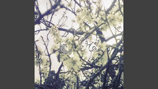 Music video thumbnail preview for Feathers by Airs