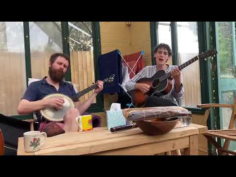 Blackberry Blossom in our pals house