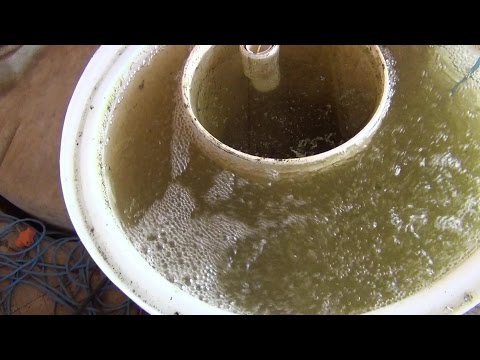 礦化槽安裝 (Mineralisation Tank Install)