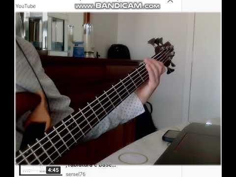Stand By My Woman  Lenny Kravitz   bass cover