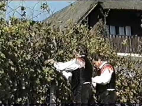 Ansambel Lojzeta Slaka - To Smo Mi Prijatelji (25 Let 1989)