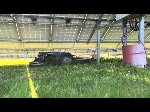 Raymo - vegetation management at solar farms