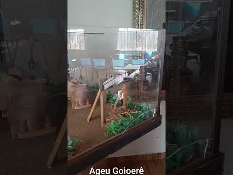 Goioerê Paraná