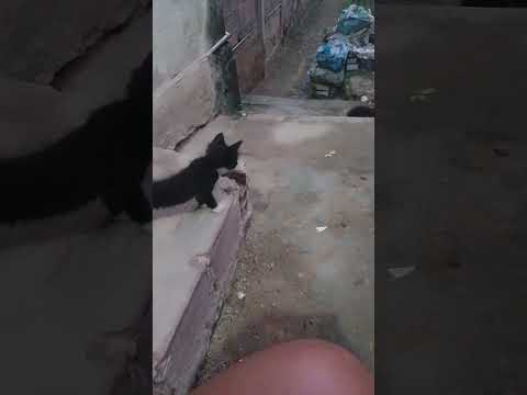 17 de janeiro de 2024