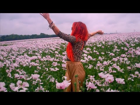 Neon Hitch - Pink Fields [Official Video]