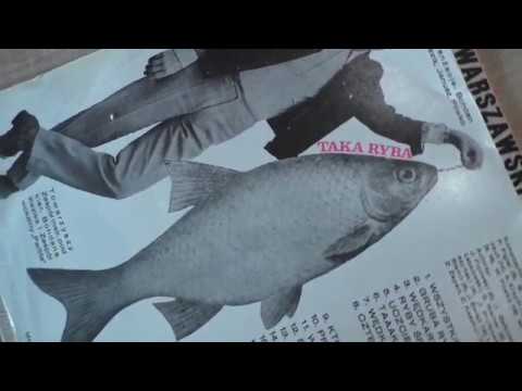 Kwartet Warszawski - wszystkie rybki słodko śpią