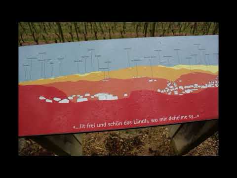 Bänkliwanderungen 2015 BLKB; Wanderung 02; Titterten-Arboldswil-Ziefen-Lupsingen-Seltisberg-Liestal