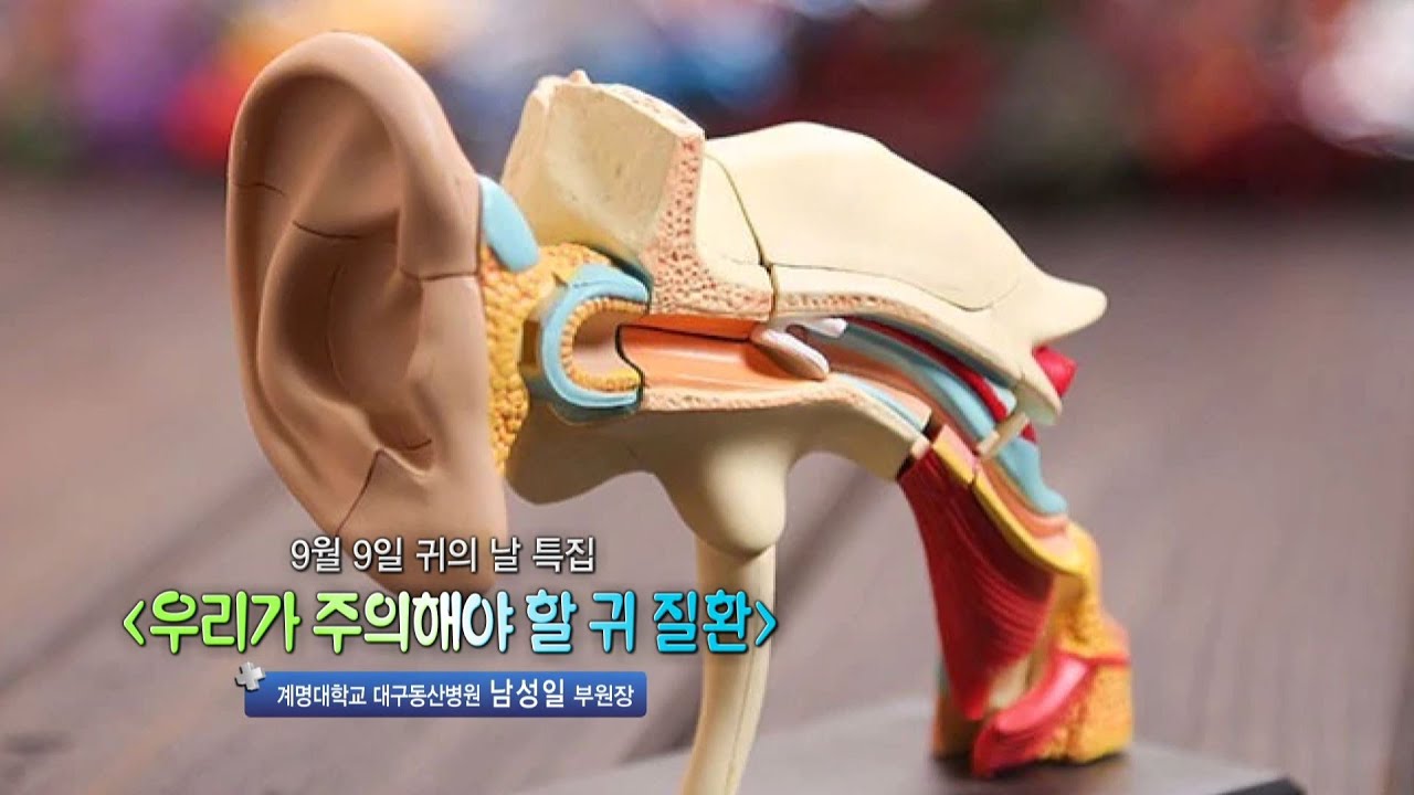 주의해야 할 귀질환 | 이비인후과 남성일 교수 관련사진