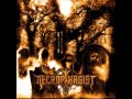 Necrophagist - Stabwound (HQ)