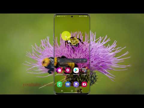 How to show specific app timer in Samsung Galaxy S21, S21Plus, or S21 Ultra