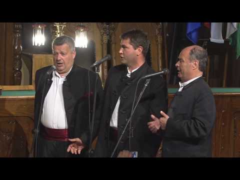 Klapa GETA(Orebić) - Ružo crvena - Vino i Gitare 2017