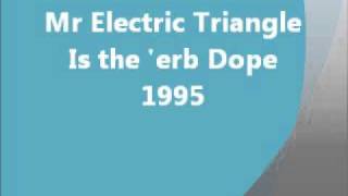 Trip-Hop - Is the 'erb Dope - Mr. Electric Triangle (1995)