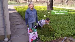 Miracle-Gro Ask Martha: Shaping Your Space