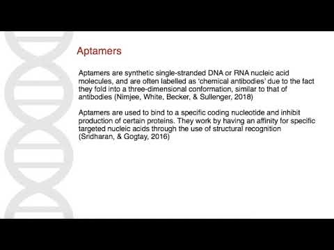 BCM201 Group 10 Nucleic Acid Delivery for Disease Therapy