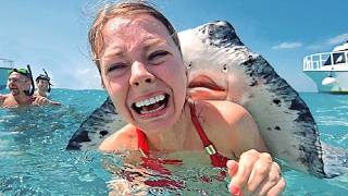 Surprising Animal Encounters