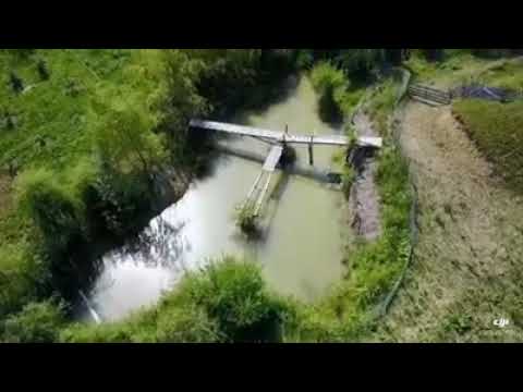 Centrul de echitație ”Caballus” Năruja invitație