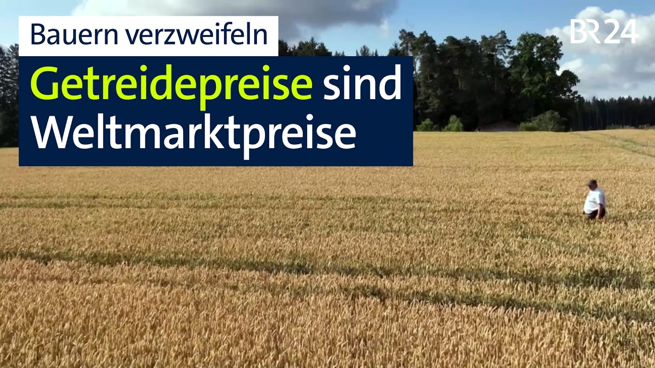 Bayerische Bauern verzweifeln am niedrigen Preis für Getreide | Abendschau | BR24