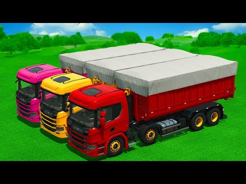 HARVEST, LOAD AND TRANSPORT CANOLA WITH FENDT TRACTORS - Farming Simulator 25