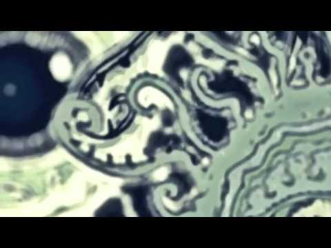 Paranoize- Some Thing To Forget (Album Sampler)