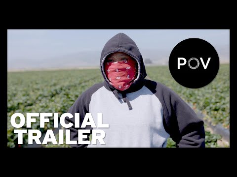 Fruits of Labor | Official Trailer | POV | PBS