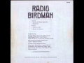 Radio Birdman - Burned My Eye