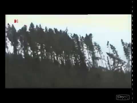 Der Orkan Lothar - Dezember 1999