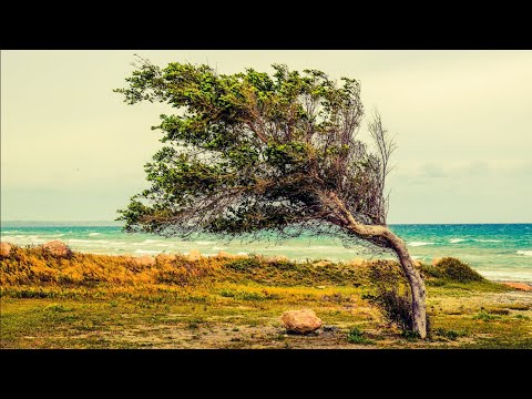 Gaby Rückert - Wenn der Wind sich dreht