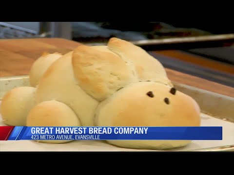 Tasty Tuesday-Great Harvest Bread Company