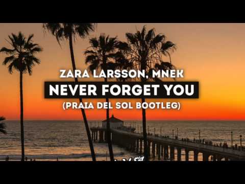 Zara Larsson, Mnek - Never Forget You (Praia del Sol Remix)
