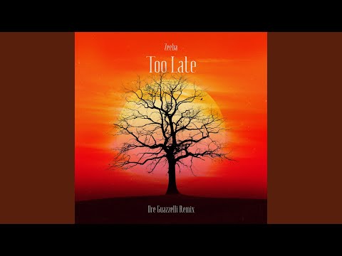 Too Late (feat. Zeeba) (Dre Guazzelli Remix)
