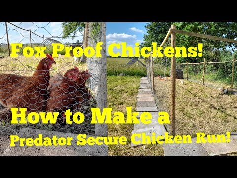 , title : 'How to make a Fox proof Fence for Cheap! predator fencing, strong poultry fencing'