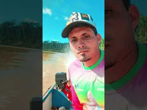 viajando no rio juruá saindo da comunidade lagoinha, com destino guajará Amazonas.