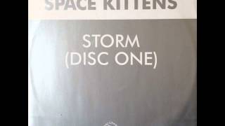 Space Kittens - Storm (HQ)