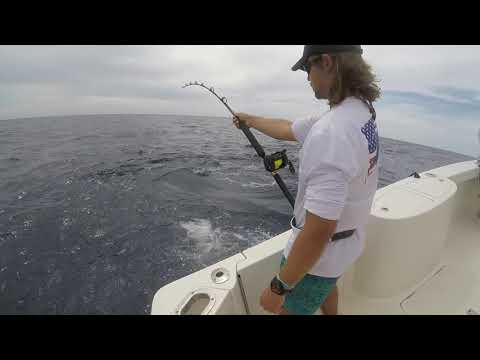 BRUISER Yellowfin KILLS Shimano TLD25, gets HANDLINED to the boat