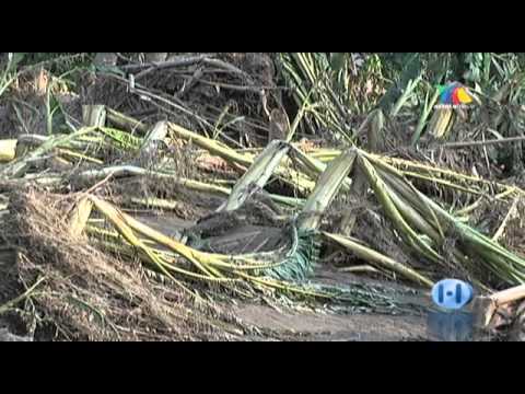 Hechos Vallarta - Martes 25 de Octubre 2011