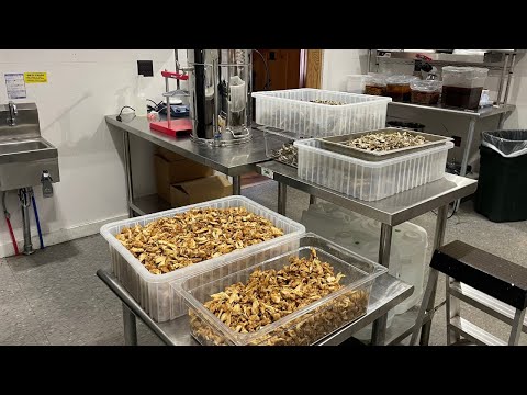 How to Make a Lion's Mane Tincture (Our Organic Mushroom Tincture Process)