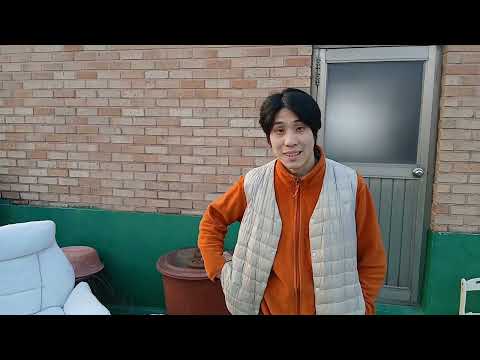 비디오 24