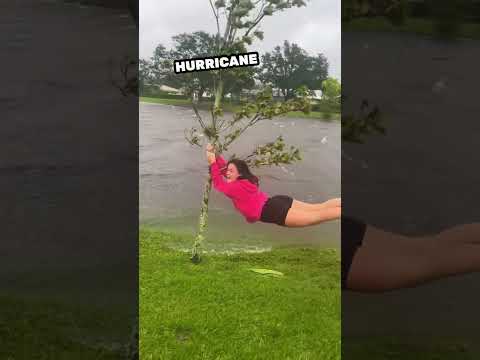 They barely survived the hurricane 😯