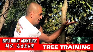 preview picture of video 'Tree Training in Georgia/Caucasus - Sifu Nihat Atamtürk'