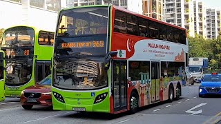 (Tower Transit NDP 2026) SG5713G(MDDEP) On Service 965 At Yishun Avenue 2