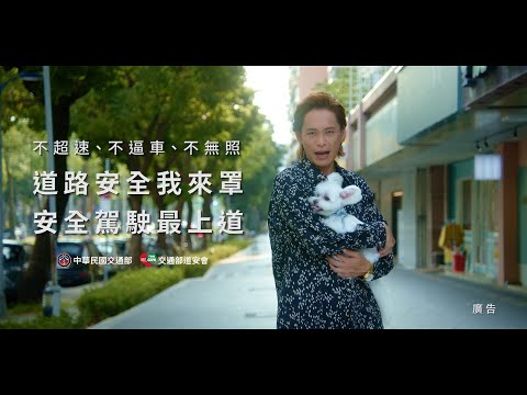 道路安全我來罩 (國語版)