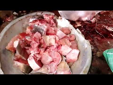 Sneyha, Arbin & Javan Fun Playing With Real Fish in Inflatable Swimming pool - Cute Sneyha's Show