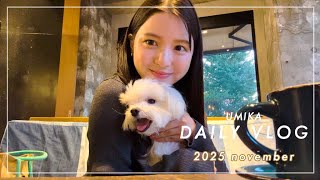 【日常vlog】幸せな休日のつくり方🦊🐶🍁