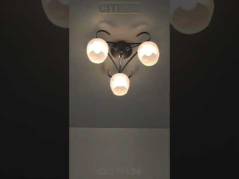 Превью видео