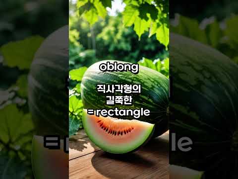 영어단어 하루4개(1460/1년) #영어단어 #영어회화 #English