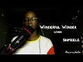 Wonderful Wonder NATHANIEL BASSEY COVER Sinmidele
